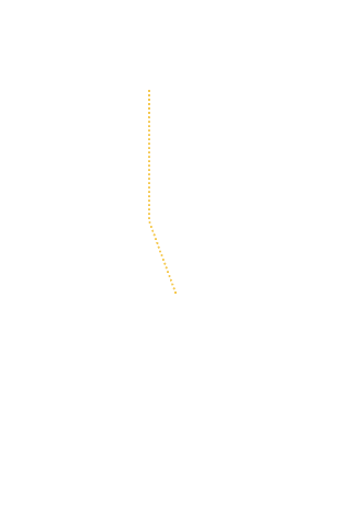 D1